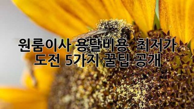 원룸이사 용달비용 💰 최저가 도전! 5가지 꿀팁 공개 🍯