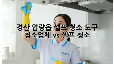 경산 압량읍 셀프 청소 도구: 청소업체 vs 셀프 청소?